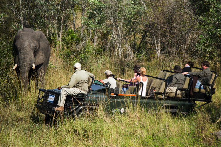 safari-view