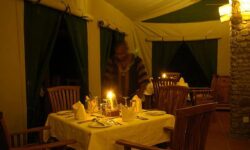 0304 Dinning Tent by Night