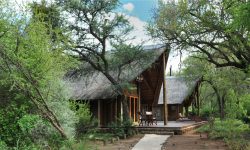 1-signature-black-rhino-game-lodge