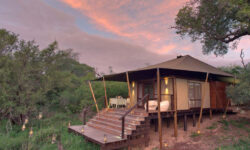 african_safari_ngala_tented_camp_tent