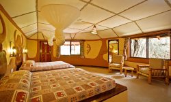 amboseli_sopa_bedroom