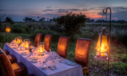 bush-dinner-16_hi-res