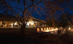 dining-_under_stars_ruaha