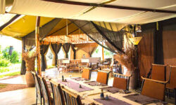 dining_room_kwihala_ruaha