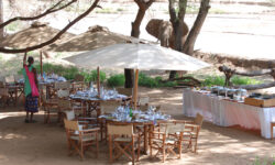 elephant-bedroom-camp-samburu-10