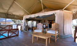 elephant-bedroom-camp-samburu-36