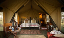 kimondo-camp-guest-bedroom