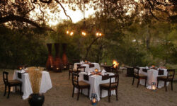 Little Bush Camp - Dining