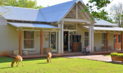 morukuru-farm-house-nyala-feeding-on-the-lawn