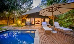 Savanna Lodge Sabi Sand Exec suite 5