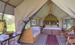 Guest Tent at Serengeti Under Canvas