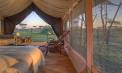 Inside the Tent at Serengeti Under Canvas