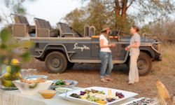 singita-sweni-lodge-game-drive5