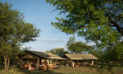 ubuntu-camp-mess-tents