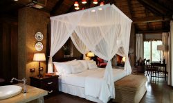 camp_jabulani_accommodation_1