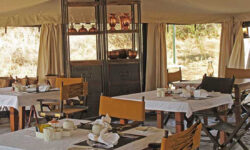 Breakfast Tent at Serengeti Pioneer Camp