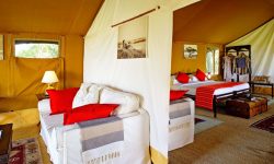 tented-guest-suite