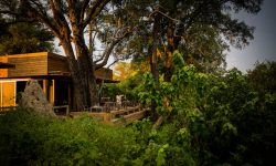 Vumbura, Wilderness Safari Camp, Okavango Delta, Botswana