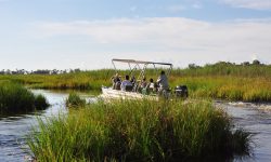 Africa; Botswana; Sanctuary Baines' Camp; Boating