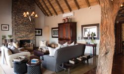 Little Madikwe Hills Lounge