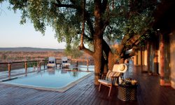 Madikwe Hills Pool and Deck