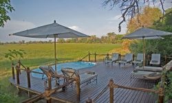 Botswana; Okavango Delta; Stanley's Camp - Pool and deck with view