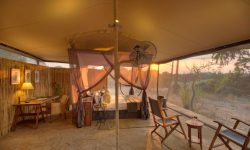 Room at Roho ya Selous