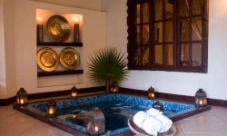 PRIVATE_PLUNGE_POOL_THE_PALMS