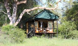 Bomani Tented Lodge - Zimbabwe