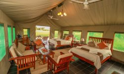 Tents of Bomani Tented Lodge