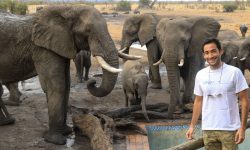 Elephant experience at Nehimba Lodge